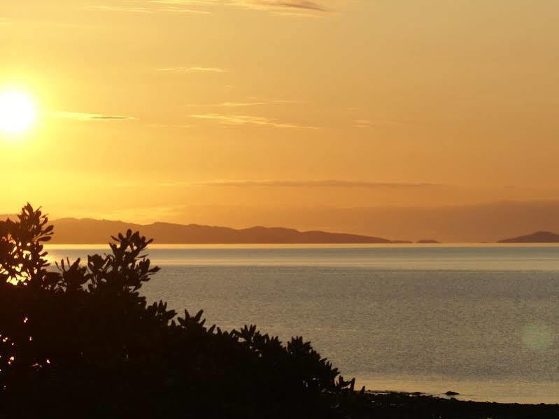 Te Puru Beach Lodge Dış mekan fotoğraf